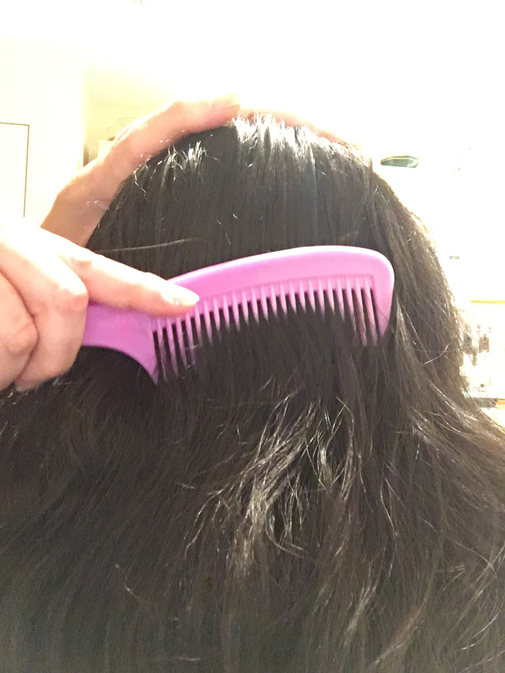 Head Lice Treatment Removal Service in Stamford, Connecticut